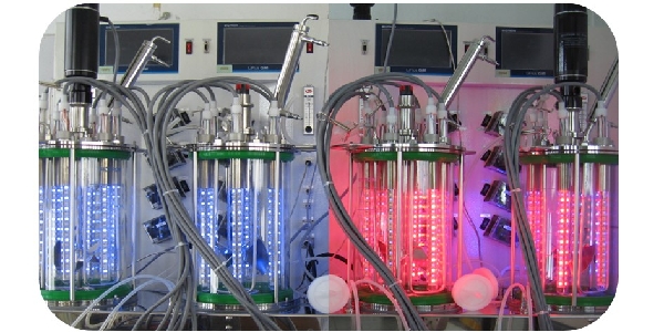 Continuous stirred-tank reactor(연속교반반응기) 대표이미지